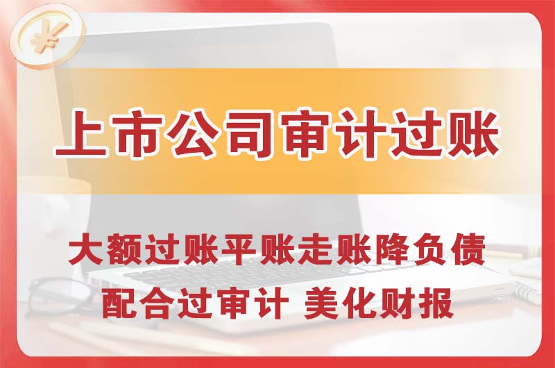 塘厦上市公司审计过账